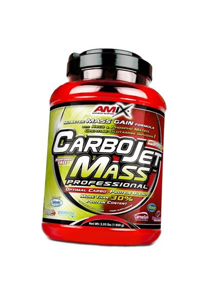 CarboJET Mass Professional 1800г Лесная ягода (30135003) Amix Nutrition (293254387)