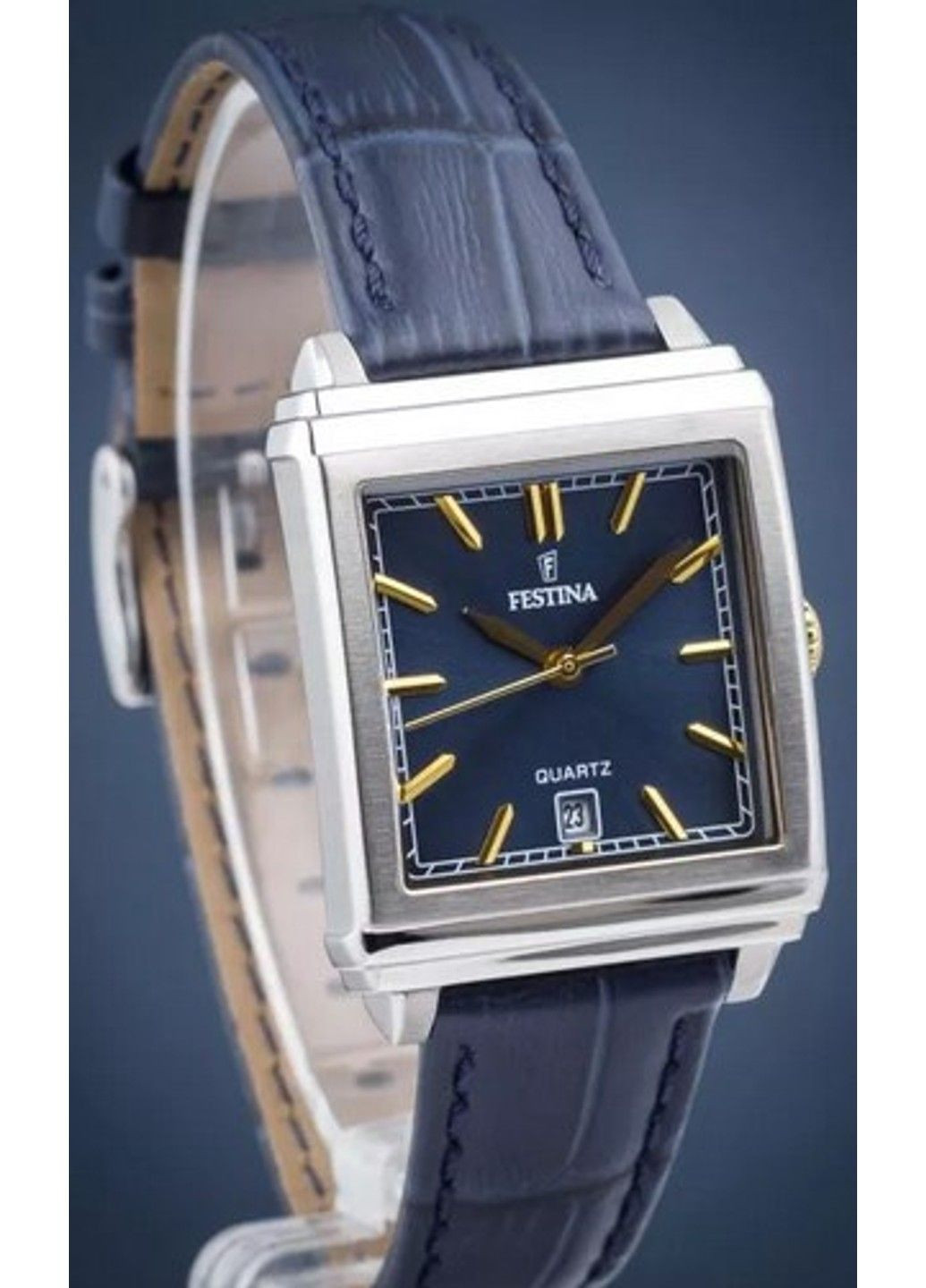 Часы F20682/5 Festina (314744134)