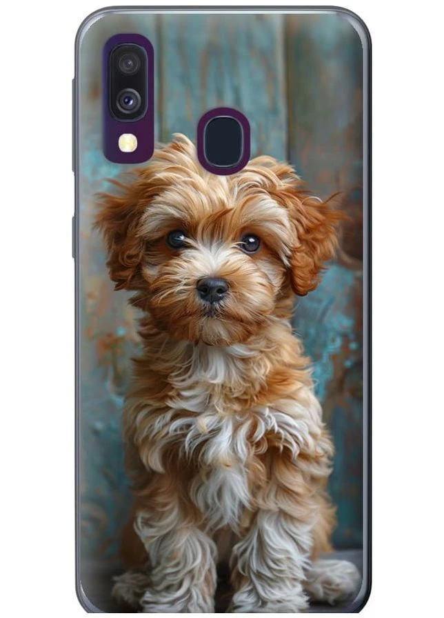 2D пластиковий чохол 'Цуценя мальтипу' для Endorphone Samsung Galaxy A40 2019 A405F (297868742)