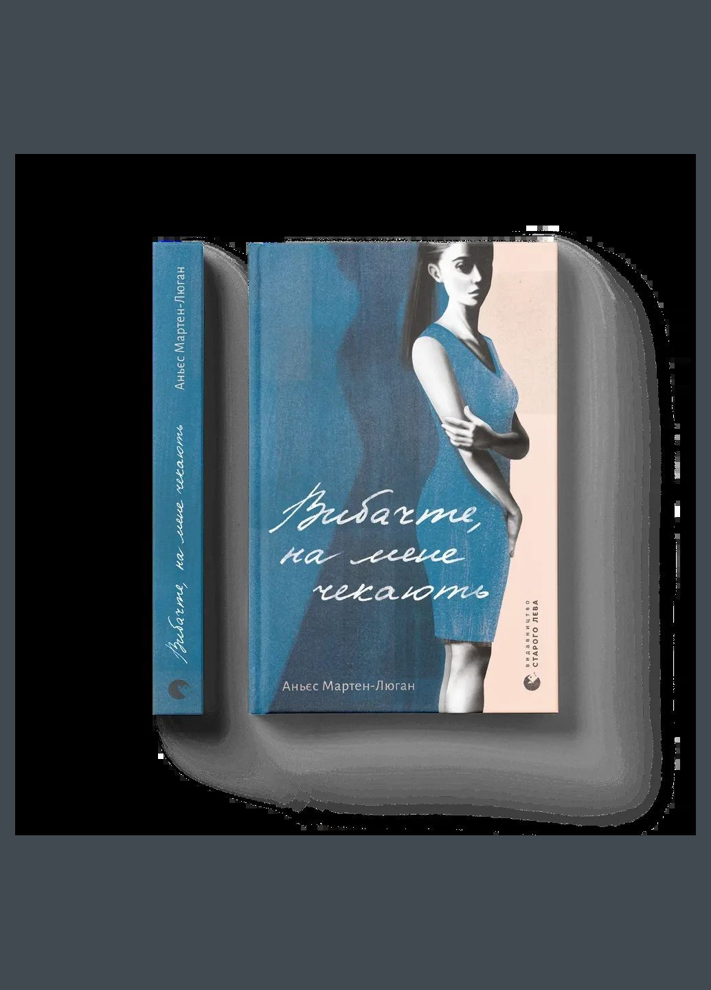 Книга Извините меня ждут Аньес Мартен-Люган Видавництво Старого Лева (335820820)