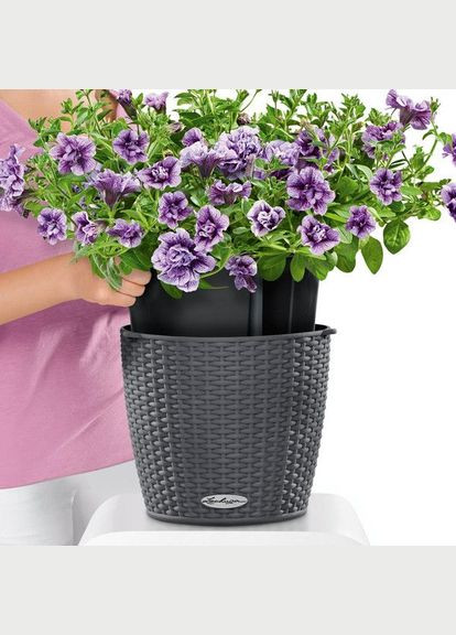 Розумний вазон Nido Cottage 27 6 л білий 15190 Lechuza (316614898)