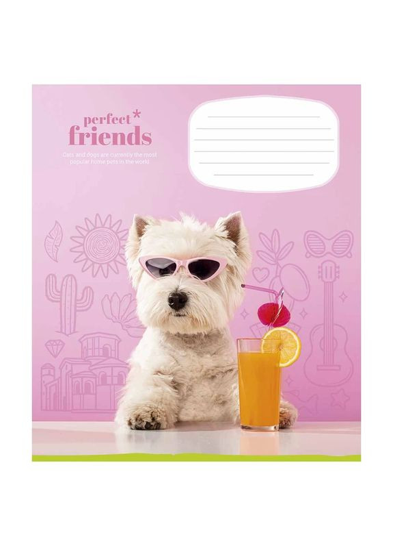 Зошит учнівський Perfect friends 012-3250C 12 арк. (482000647045603250)(SC) shop (482000647045603250) Школярик (337404353)