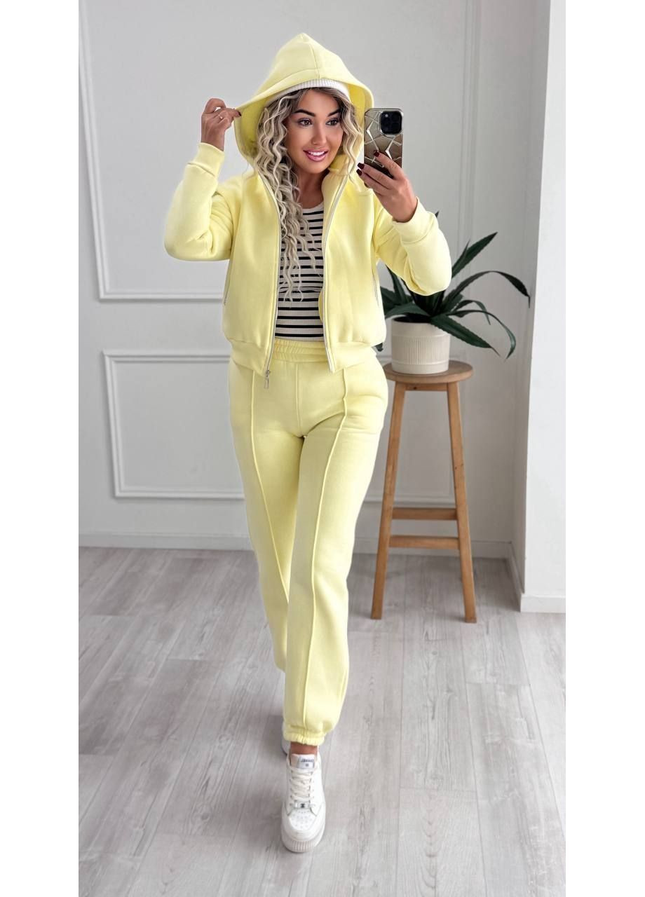 Спортивний костюм на флісі LeVi (367088805)