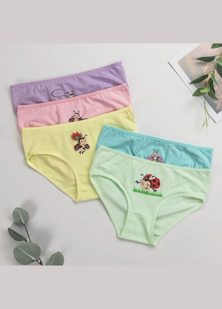Трусики для девочек, хлопок — набор из 5 штук. Nicoletta Трусики (342119754)
