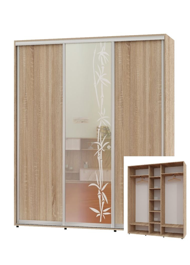 Шафа-купе тридверна 200*45*250 Дуб Сонома 2 ДСП/Дзеркало з піскострумним малюнком ШК-04 Алекса (360441339)