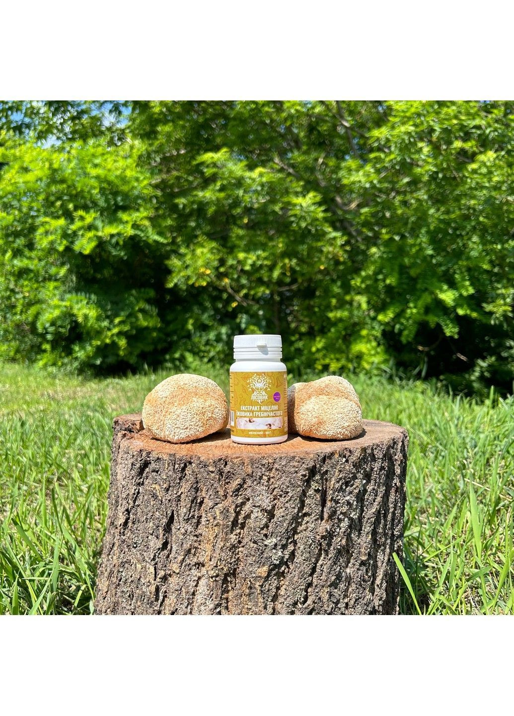 Экстракт мицелия Ежовика гребенчатого 120 капсул Лесовик Лісовик (364210515)