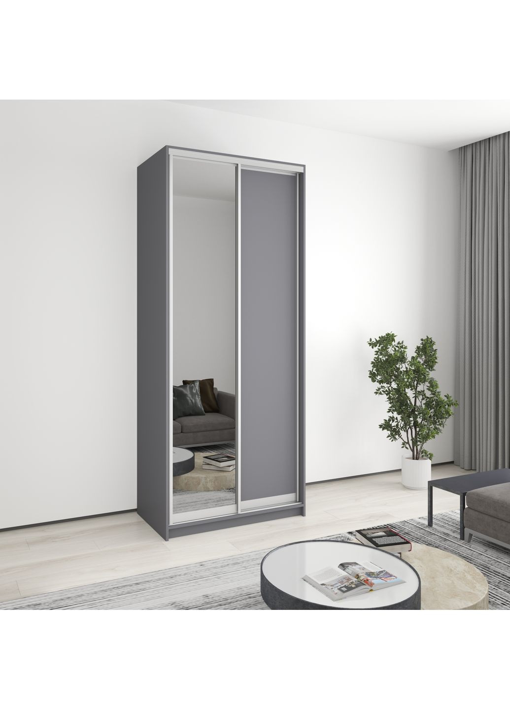 Шкаф-купе двухдверный Стандарт AL ДСП/Зеркало 100x60x240 см (MBS-3735) MebelStar (359449118)