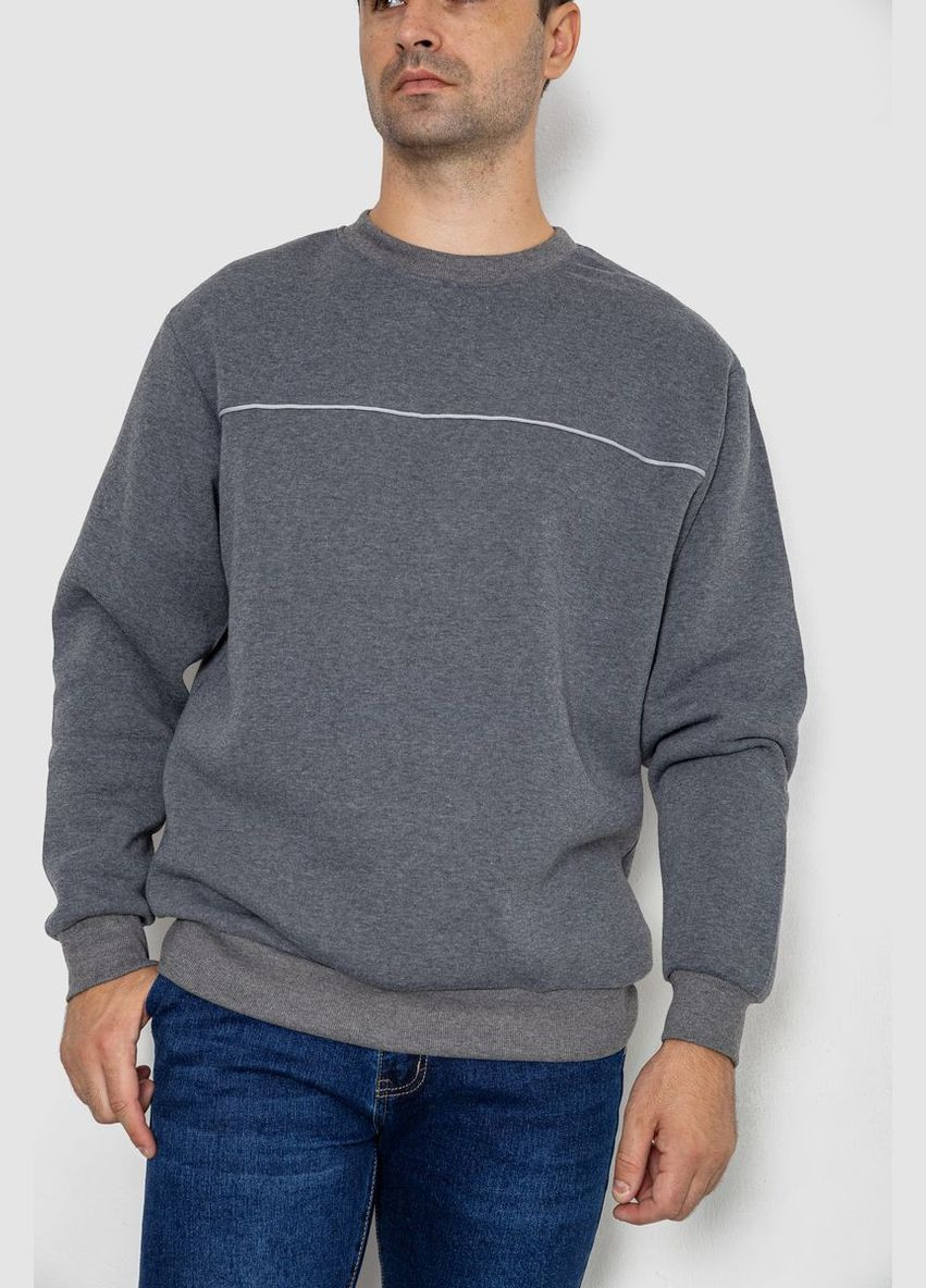 Сірий демісезонний батник чоловічий на флісі Ager 244R2556