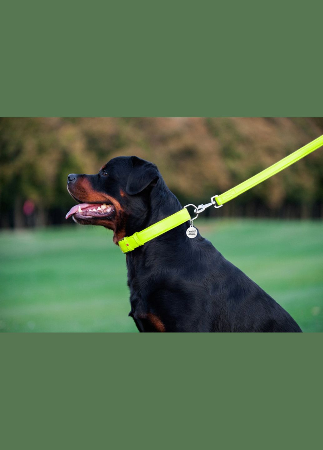 Поводок для собак кожаный Glamour, Ш 25 мм, Дл 122 см WAUDOG (279563897)