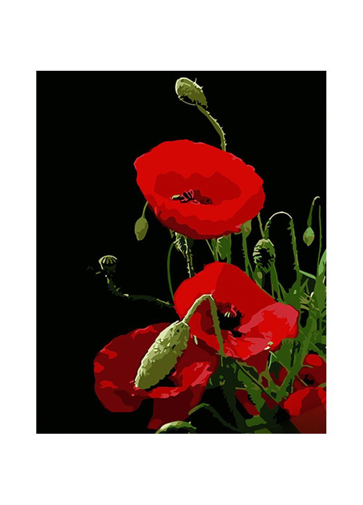 Картины по номерам цветы 40х50. Роспись по номерам на черном полотне Красный мак AH1024 Strateg (308988167)