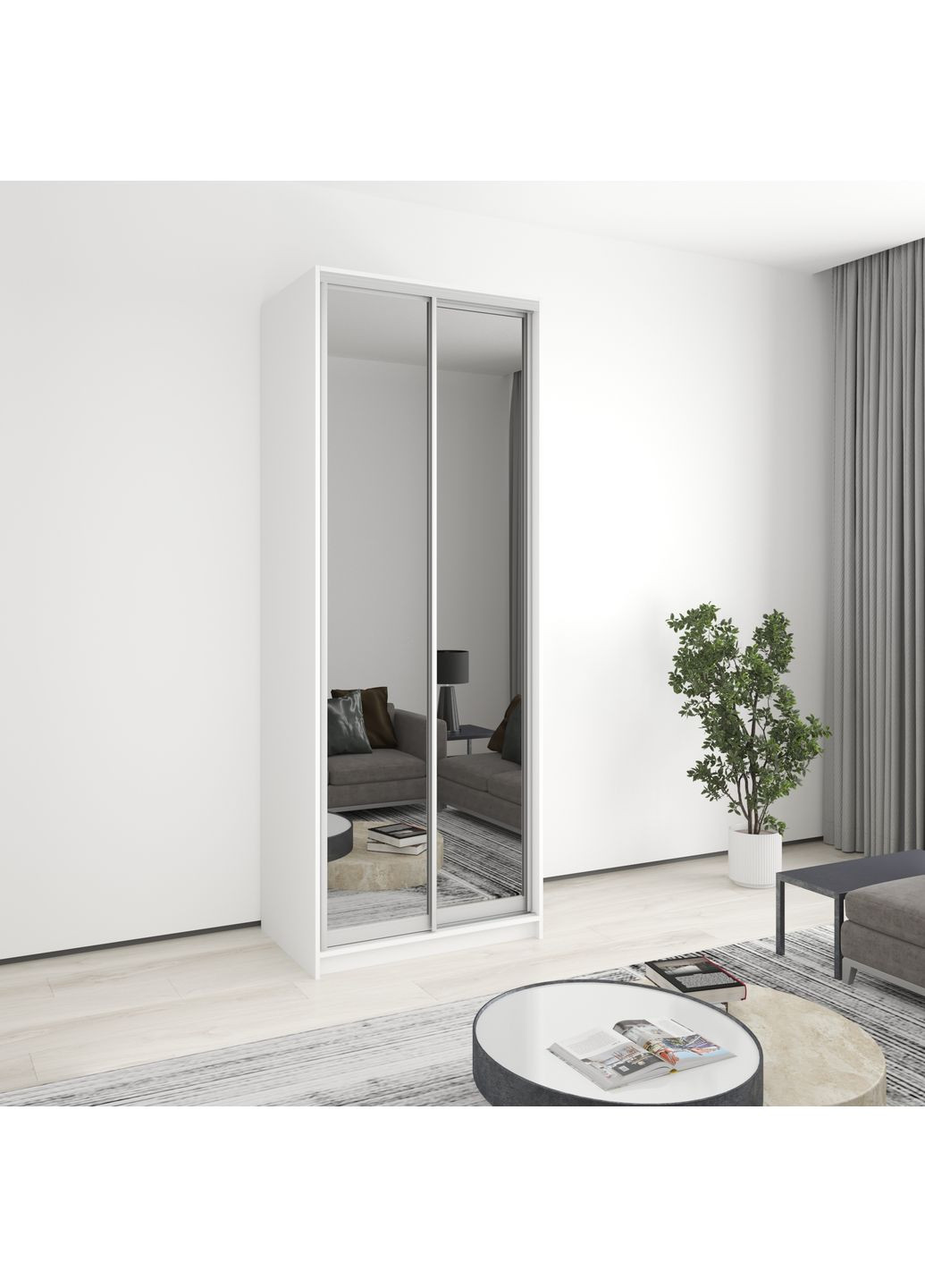 Шкаф-купе двухдверный Стандарт AL 2 Зеркала 90x60x240 см (MBS-3851) MebelStar (362373532)