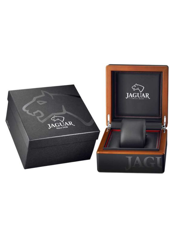Мужские наручные часы Jaguar J1026/2 (353303107)