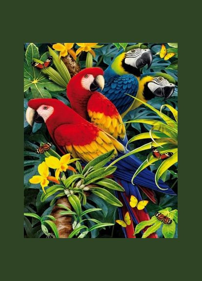 Алмазная мозаика 30х40см Попугаи ST434 ColorArt (299772240)