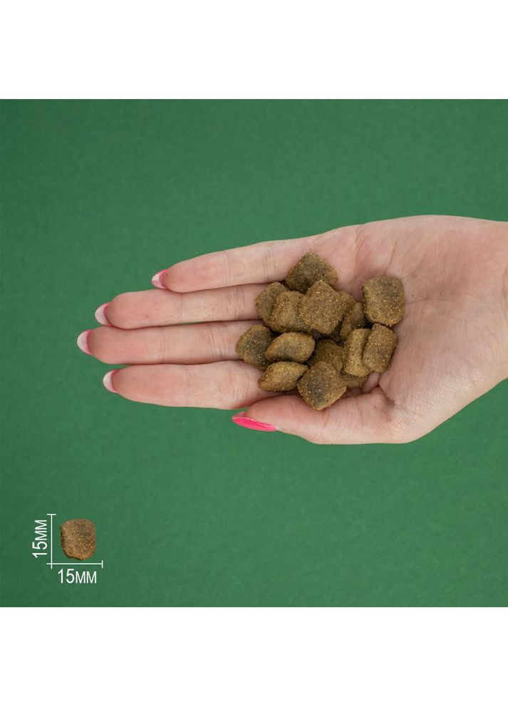 Сухий корм Bravery (364789247)