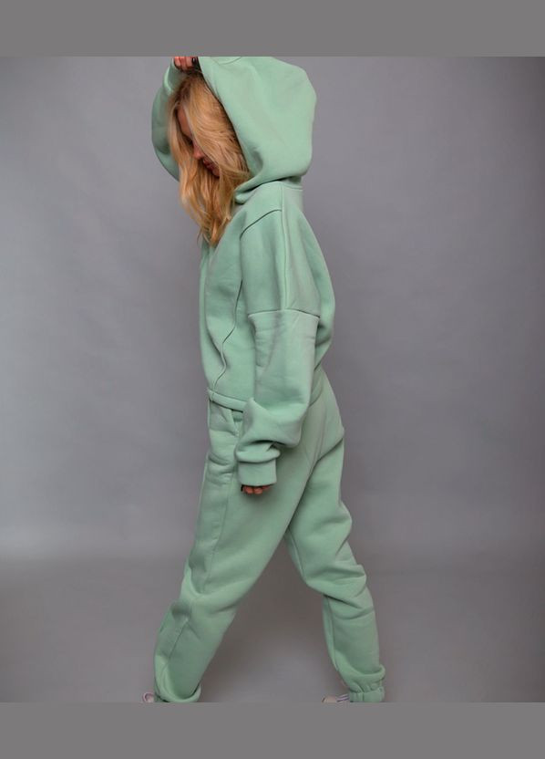 Женский теплый спортивный костюм с капюшоном, турецкая трехнитка на флисе No Brand (315408736)