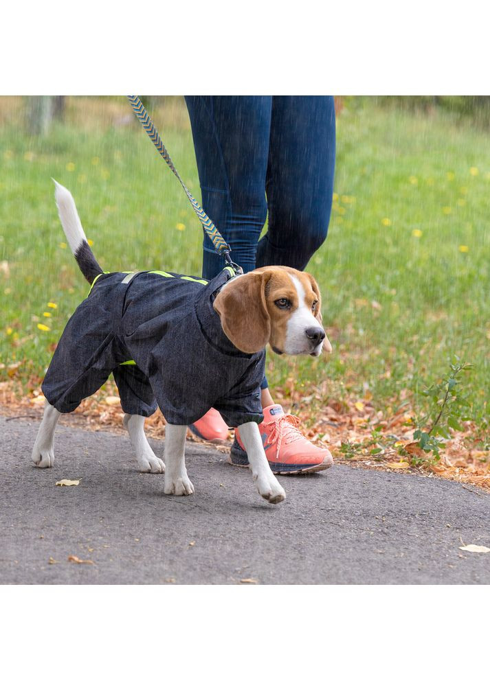 Комбинезон RAIN для собак Pet Fashion (372504123)