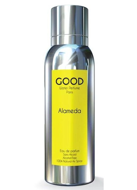 Alameda 100 мл Парфумована вода Good Water Perfume (370853486)