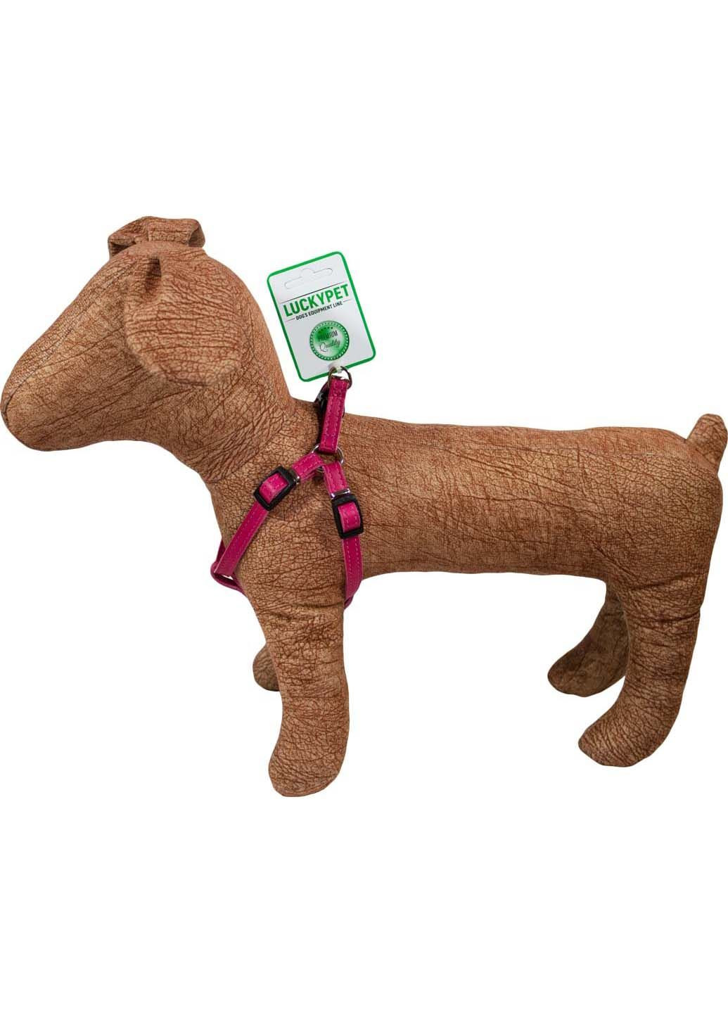 Нагрудник кожаный двойной 2.0/40-53 Lucky Pet (292175629)