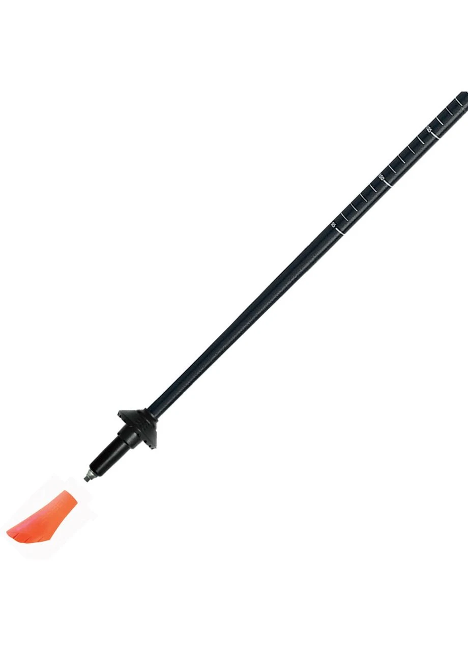Палки для скандинавской ходьбы Stretch Carbon Lilac (7008352650000) Gabel (400036870)