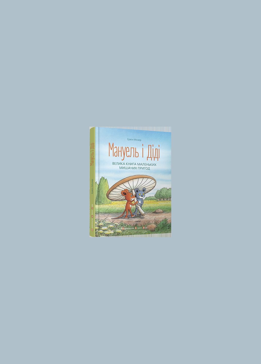 Книга Мануэль и Диди (на украинском языке) Видавництво Старого Лева (273237559)