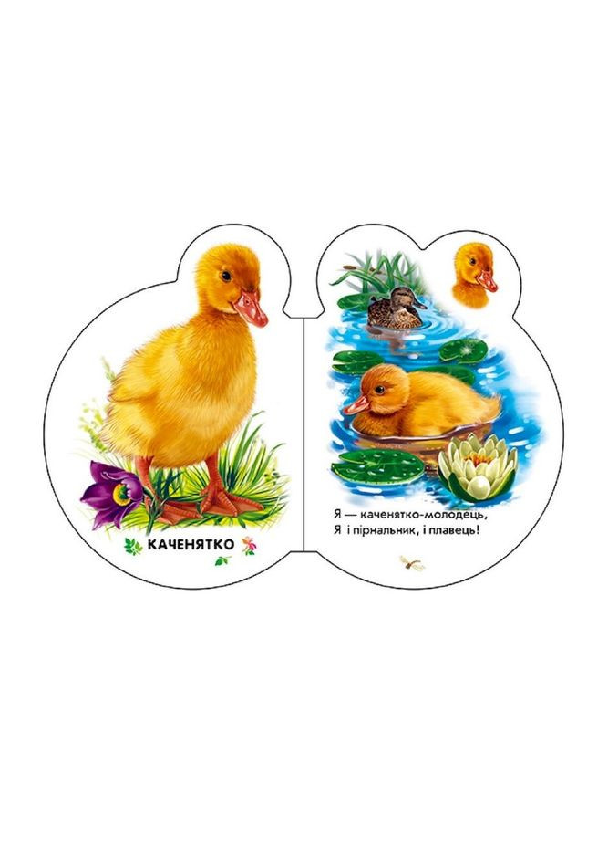 Картонная книжечка для самых маленьких Малыши: В селе 411016 аудио бонус Ranok Creative (364127417)