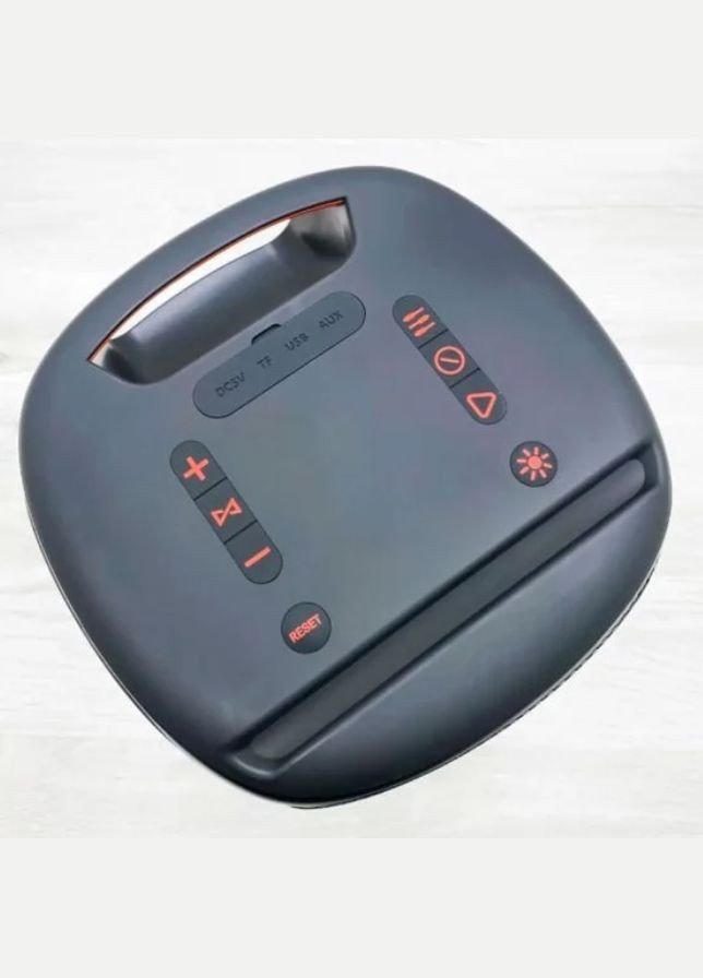 Портативна Bluetooth-колонка Party 100 Black Hopestar (297457437)