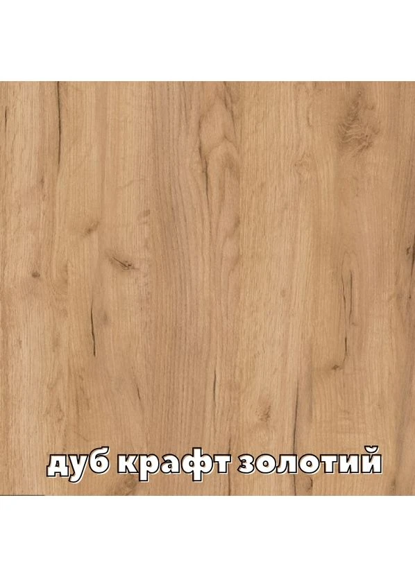 Шафа-купе дводверна Алекса 100*50*230 см Дуб крафт золотий Дзеркало з піскострумним малюнком Алекса (394251018)