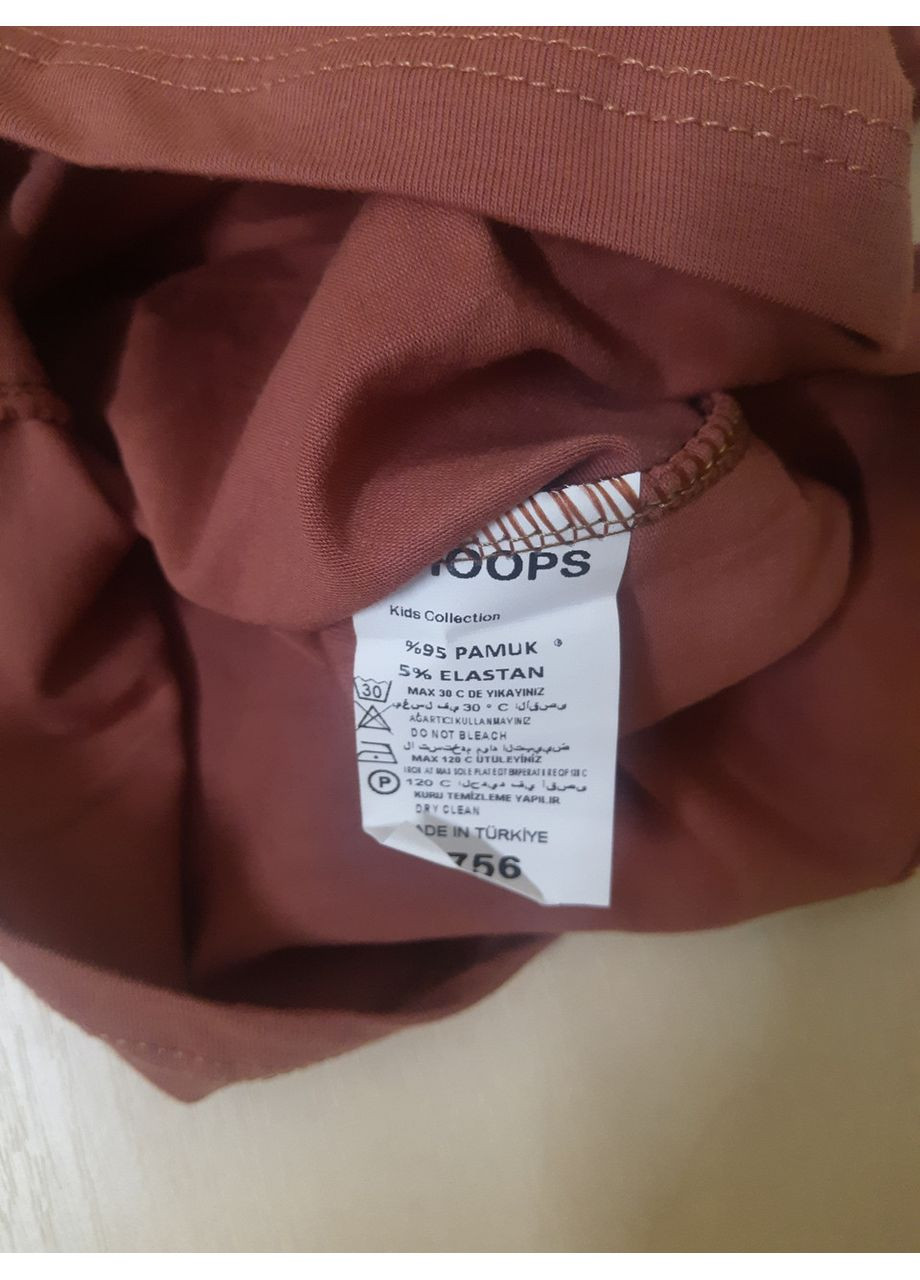 3Д Футболка для хлопчика Динозаври Туреччина теракота розміри 86 - 110 No Brand (370389595)