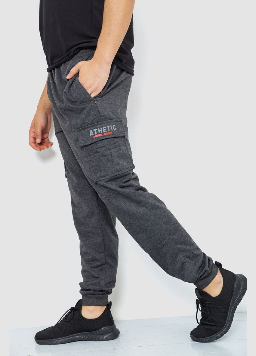 Темно-серые спортивные демисезонные брюки Ager
