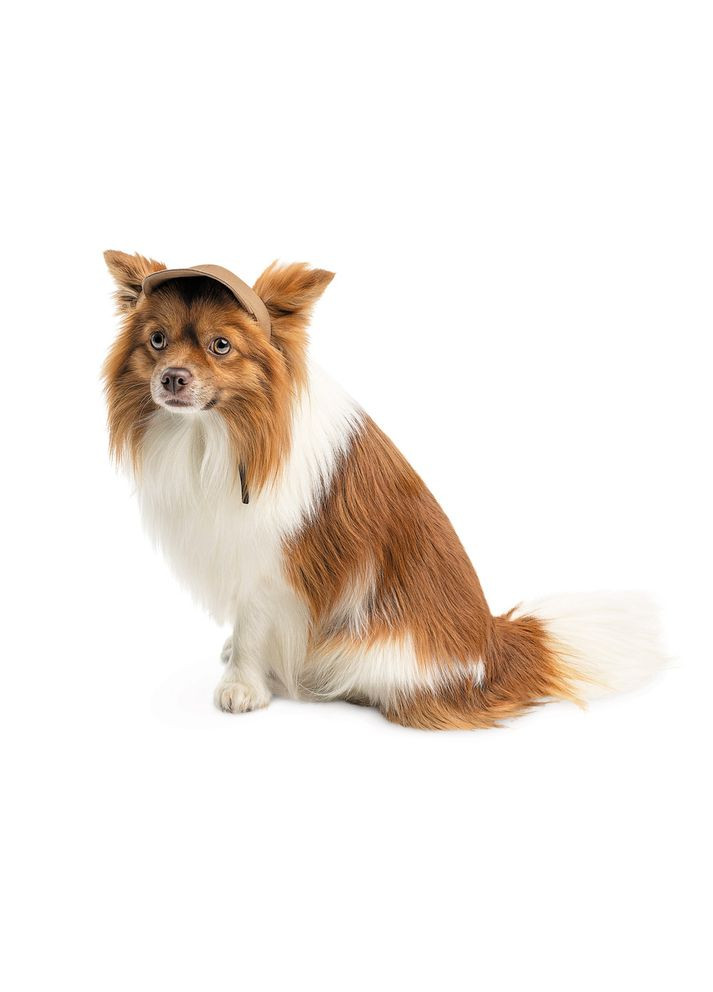 Кепка Phil ТМ для собак ХL Pet Fashion (372504546)