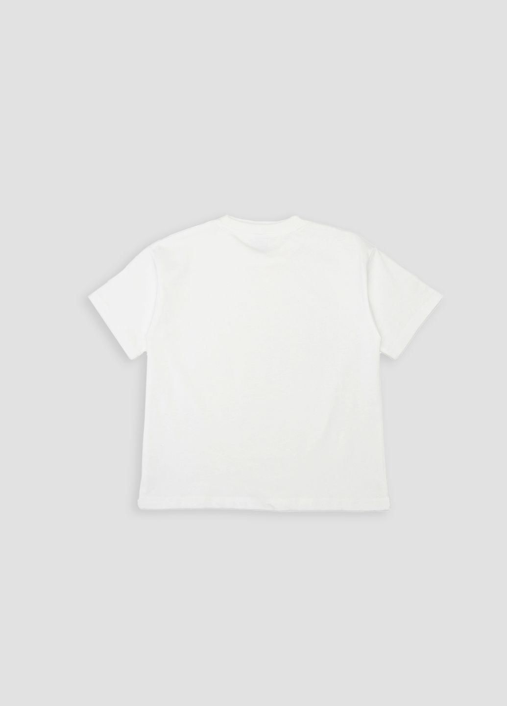 Біла літня футболка з коротким рукавом для хлопчика колір білий цб-00243550 Lizi Kids