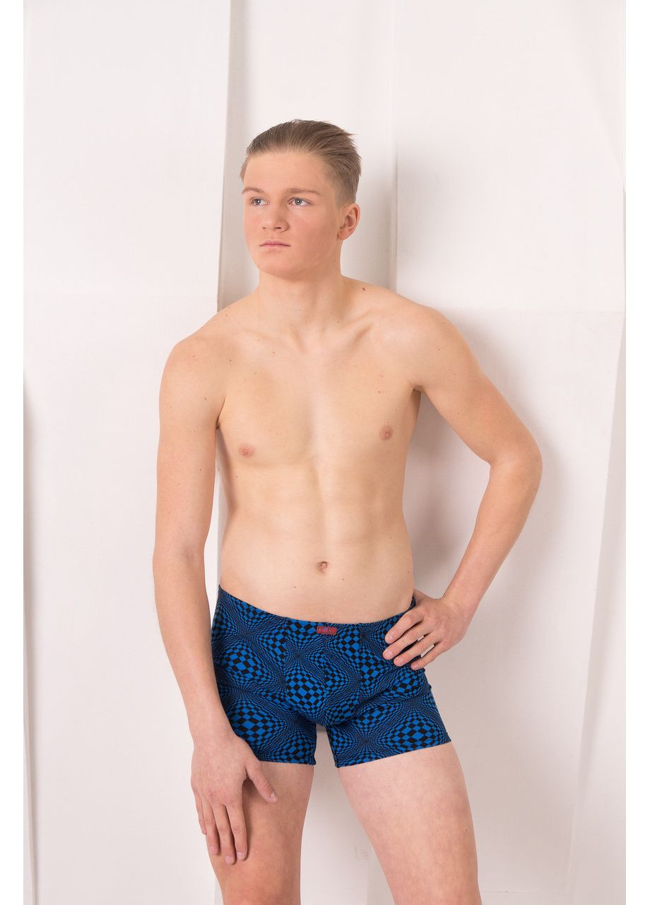 Трусы шорты мужские 06/027 LANS (373273675)