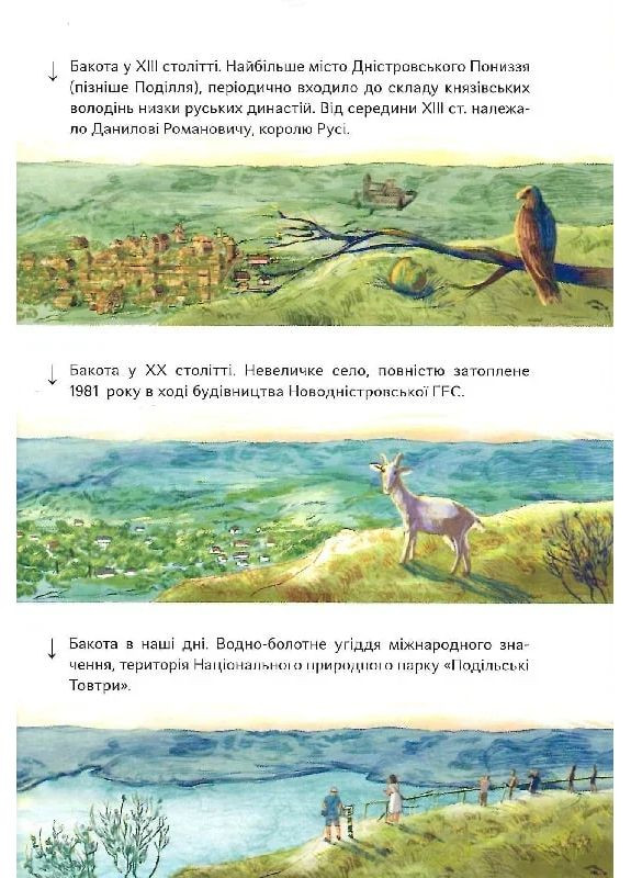 Бакотський скарб Портал (370069253)