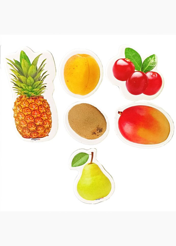 Детский набор магнитов "Фрукты и ягоды" ML4032-20 в наборе 6 магнитов MAGDUM (334156639)