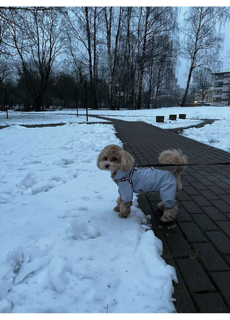 Дождевик для собак Защита, комфорт и безопасность во время прогулок No Brand (362136428)