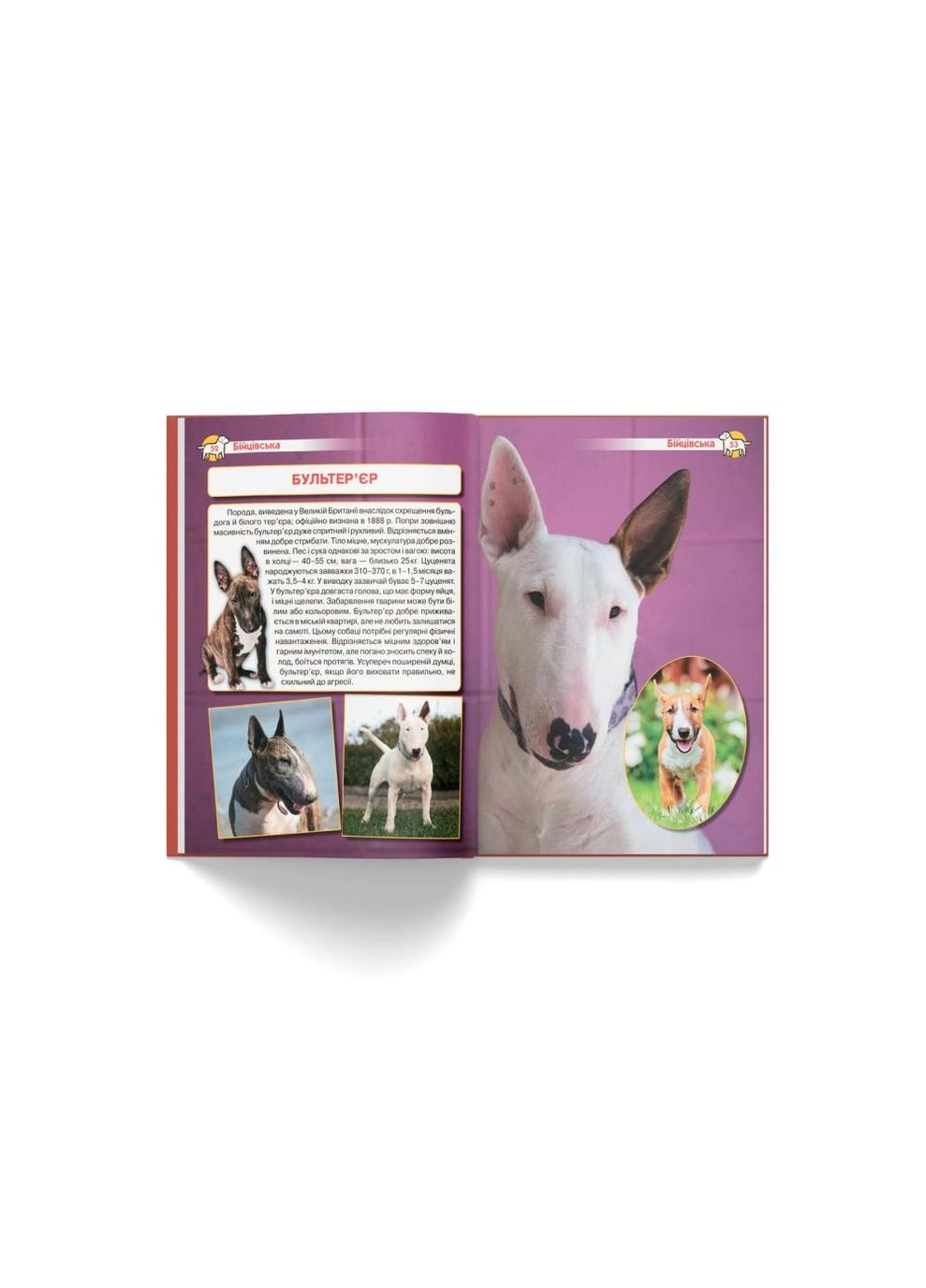 Книга "Енциклопедія. Собаки" Home (323201959)