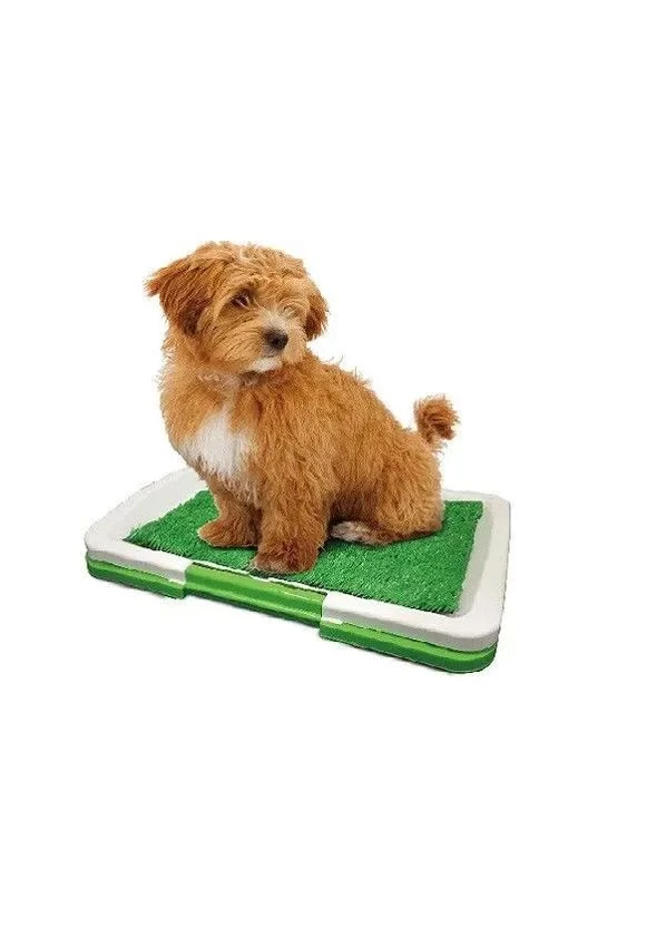 Туалет для собак Puppy Potty Pad MH-872 Digital (387415180)