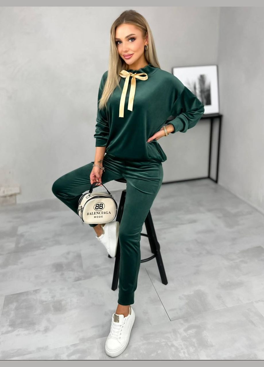 Костюм велюровый No Brand (321991991)