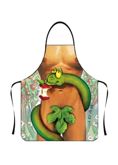 для чоловіків з приколом Змія 73 на 57 см різнобарвний Jannet Фартух (317671376)