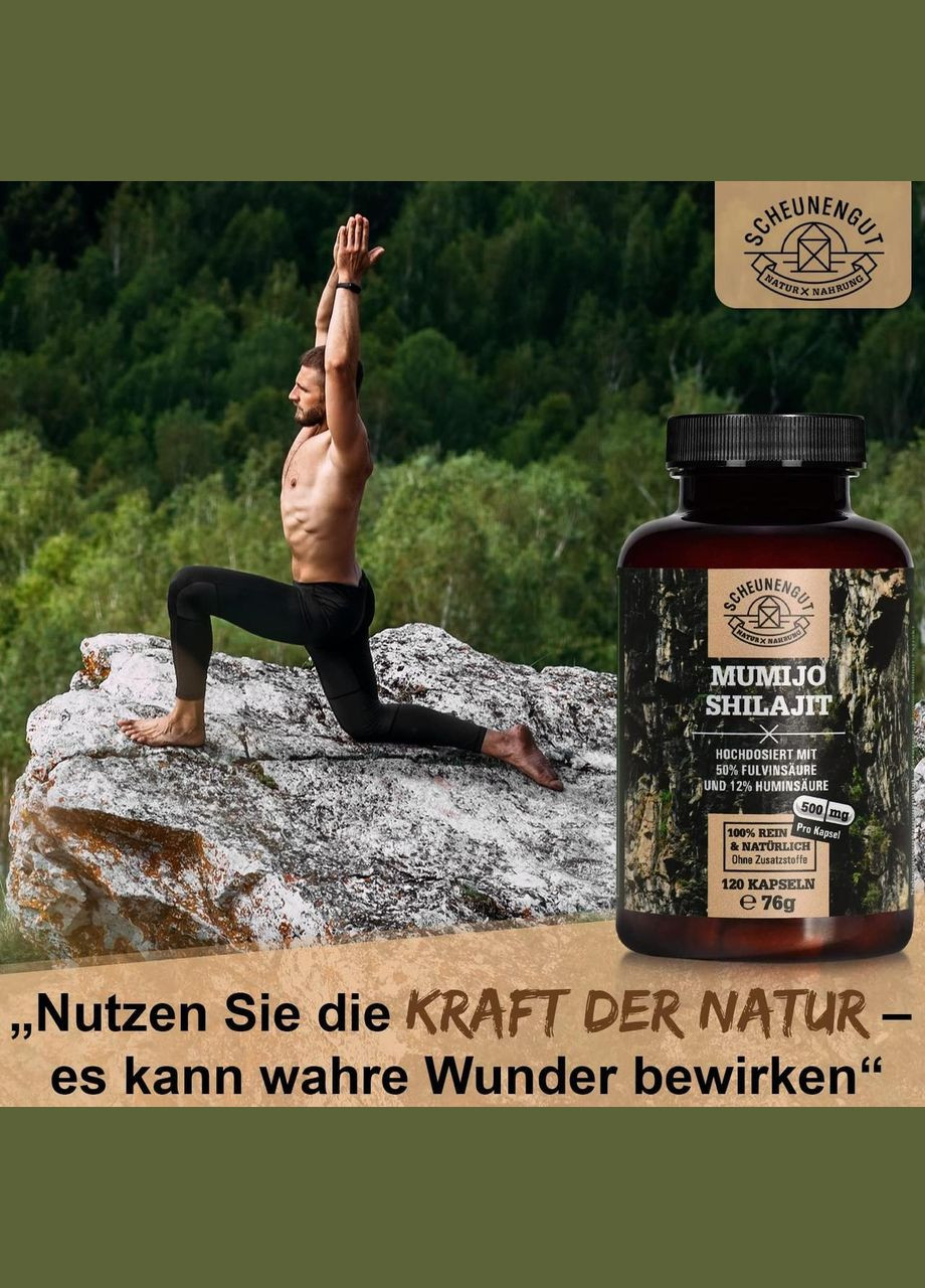 Муміє 500 мг 120 капсул No Brand (303126495)