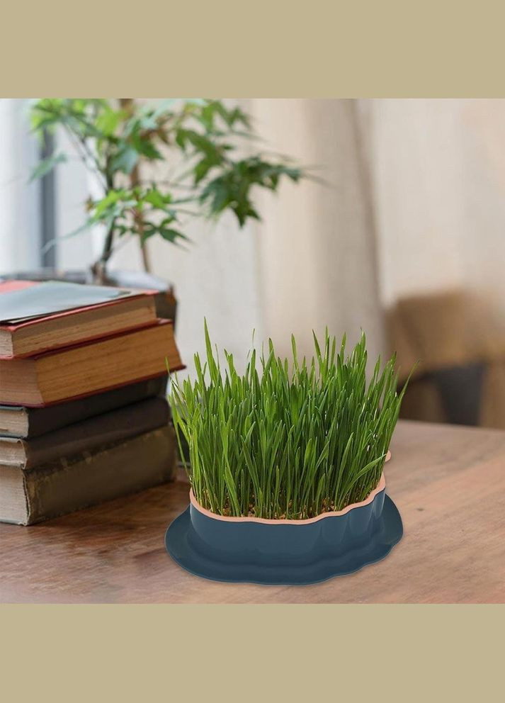 Лоток для гидропонного выращивания микрозелени и рассады листочек сине-розовый (NR0137_5) No Brand (303898367)