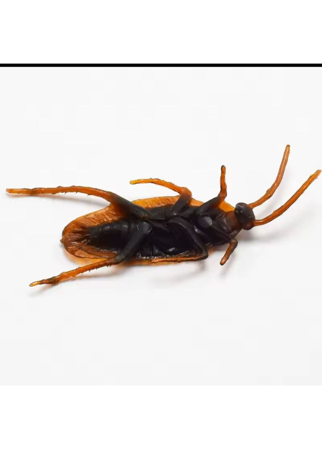 Штучний тарган для розіграшу набор 5 шт No Brand (363022925)