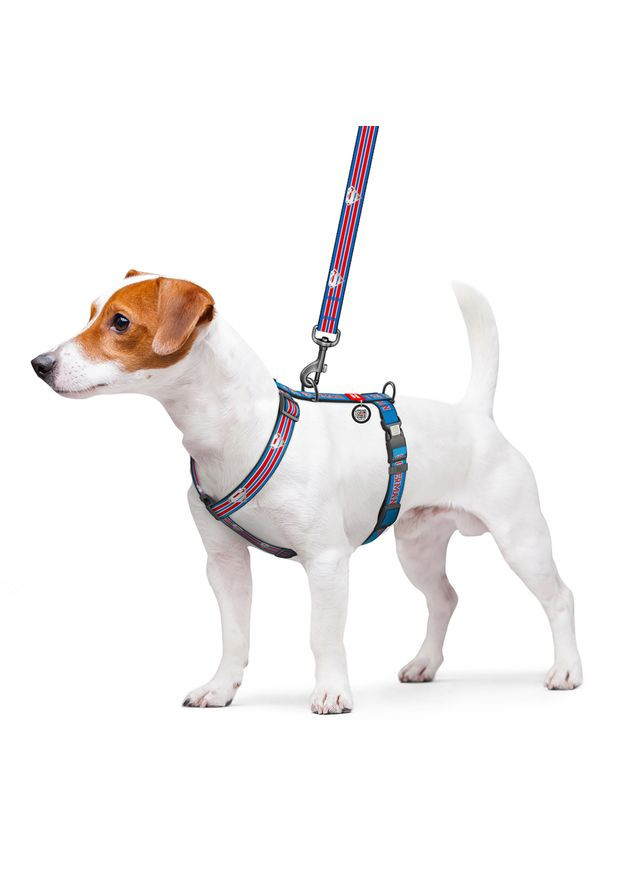 Шлея для собак Nylon с QR-паспортом, светоотражающая, "Супермен Ретро", L, Ш 25 мм, А 51-85 см, 60-85 см WAUDOG (332880970)