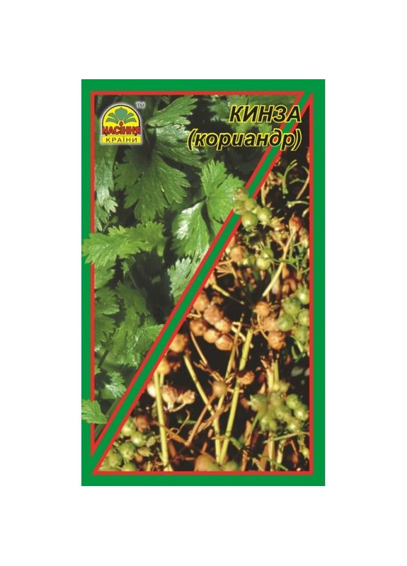 Семена Кинза кориандр 3 г Насіння країни (328606880)