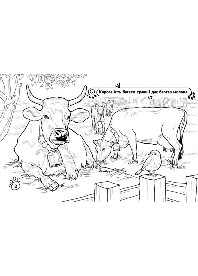 Детская раскраска "Животные на ферме" 583011, 16 страниц Ranok Creative (305077623)