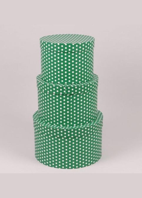 Комплект зелених коробок для квітів в білий горошок 3 шт. 39894 Flora (311201267)