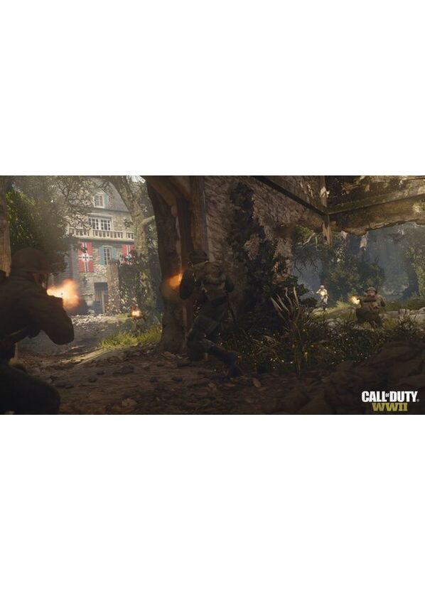 Игра консольная PS4 Call of Duty WWII, BD диск Sony (362732017)