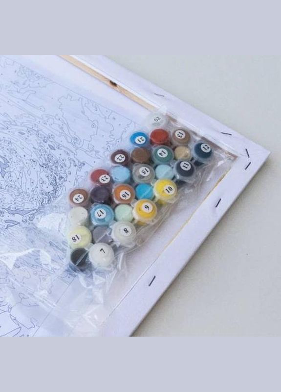 Картина за номерами люди Нарис для королеви GX5011 Картини розмальовки за цифрами Brushme (308988159)