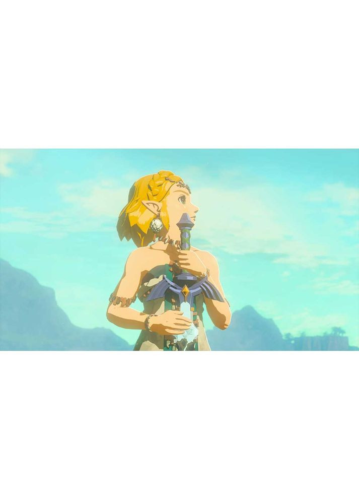 Игра Legend of Zelda: Tears of the Kingdom для Switch 2 Nintendo (364873654)