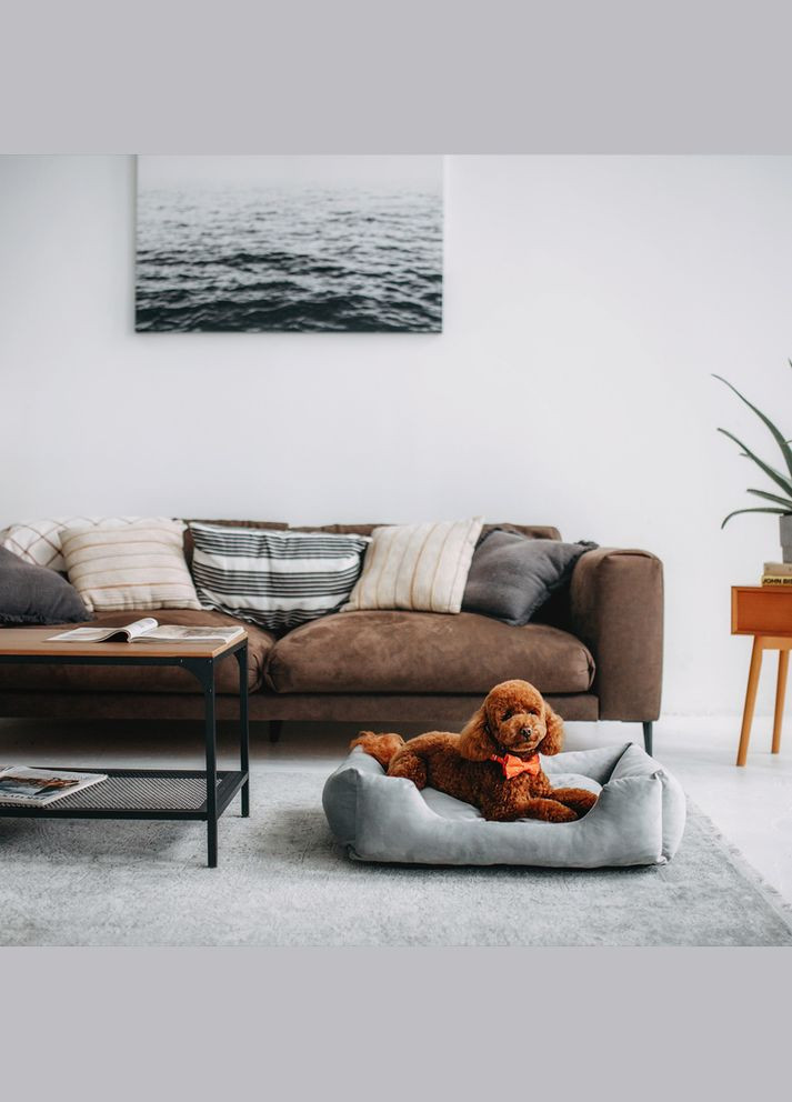 Лежак для собак Dominic 55 х 45 x 15 см Grey Rock (D2147/55) Noble Pet (363057845)